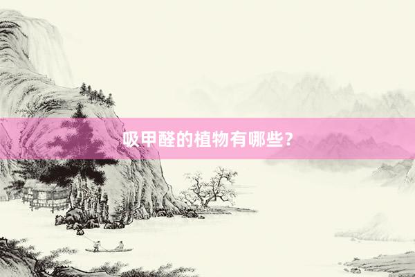 吸甲醛的植物有哪些？