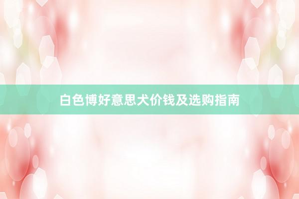 白色博好意思犬价钱及选购指南