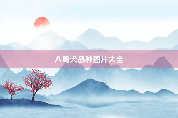 八哥犬品种图片大全