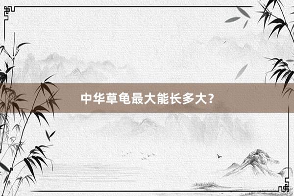 中华草龟最大能长多大？